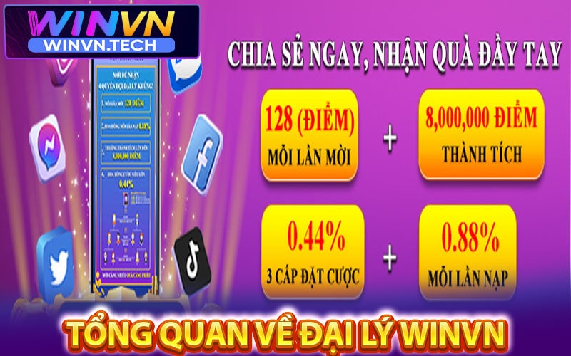 Tổng quan về Đại lý winvn