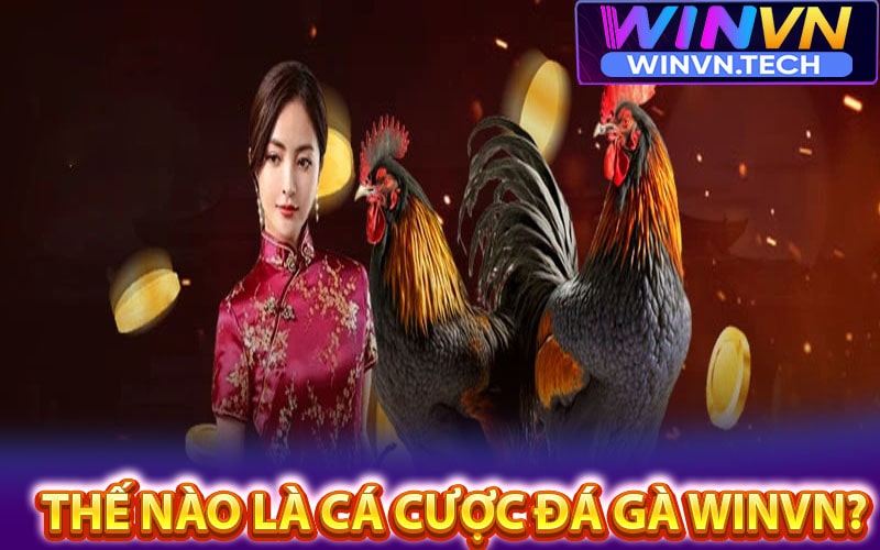 Thế nào là cá cược đá gà winvn?