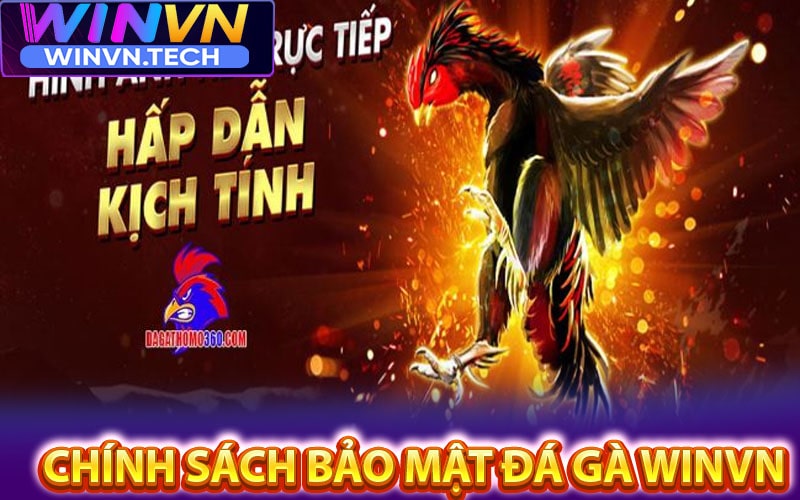 Tính năng bảo mật của sảnh game cá cược đá gà winvn 